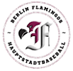 Berlin Flamingos